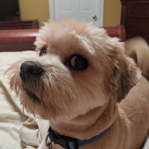 Meet your Posher, Jackie